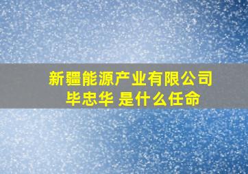 新疆能源产业有限公司 毕忠华 是什么任命